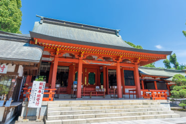 熊本・藤崎八旛宮の社殿と参道の風景写真（事務所周辺の名所）